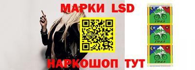 МДПВ Можга